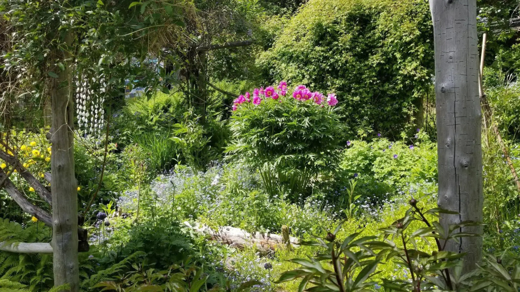 Brigitte's Bavarian Bed und Breakfast