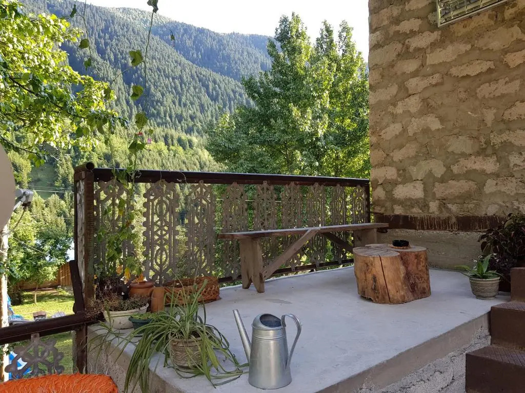 Koba Tsipiani's Retreat In Nature