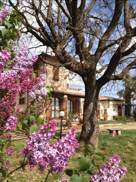 Poggio Alla Buca