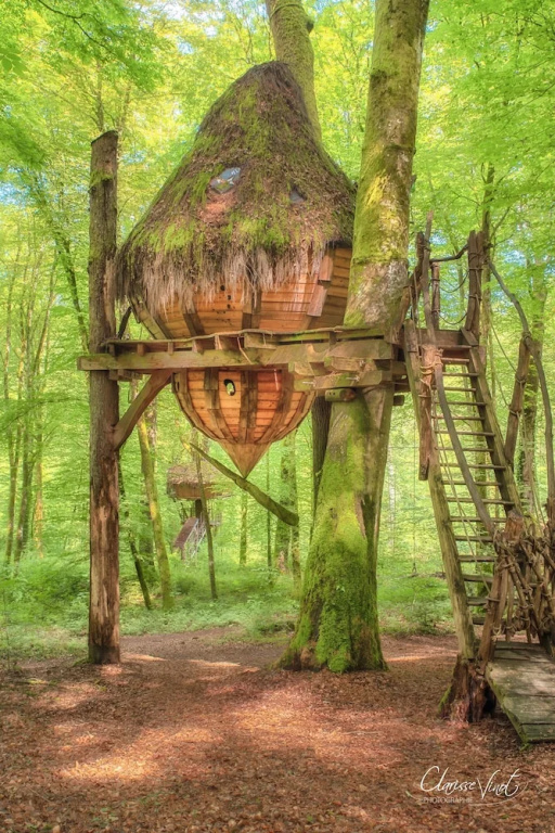 LArbre à Cabane