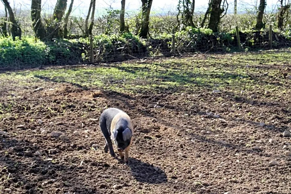 Ebberley Escapes