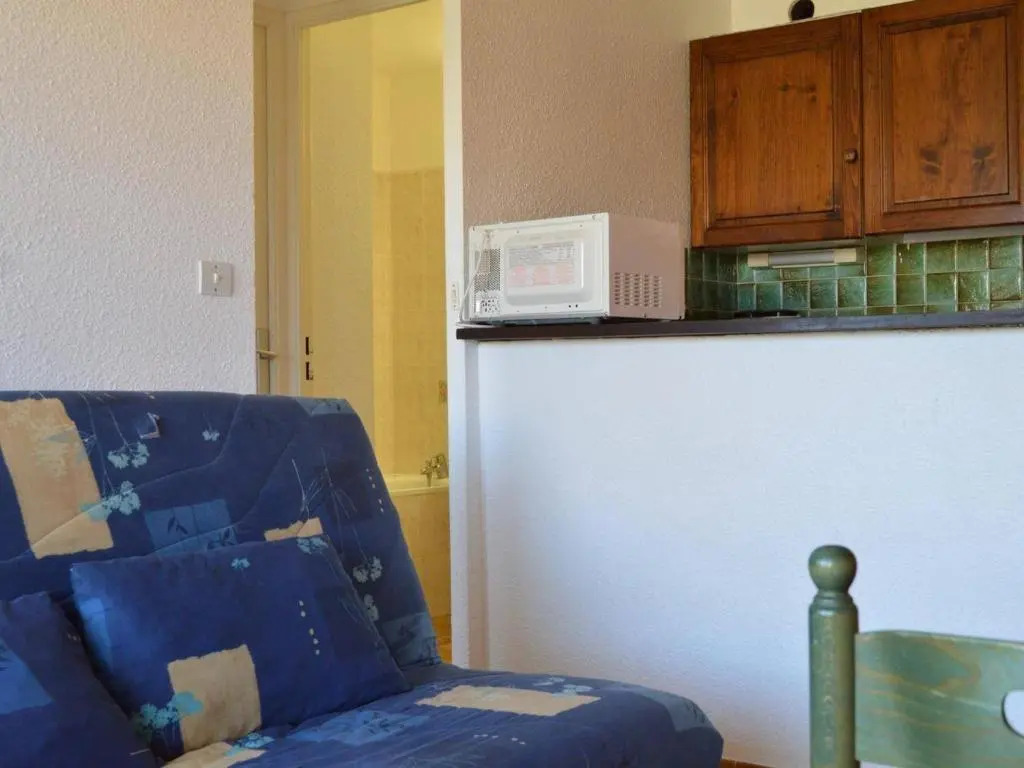 Appartement Cap d'Agde, 1 pièce, 4 personnes - FR-1-249-6