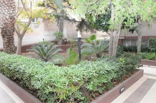 Ilm Cagliari