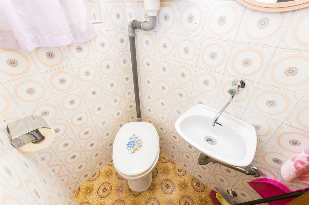 Apartment Branka