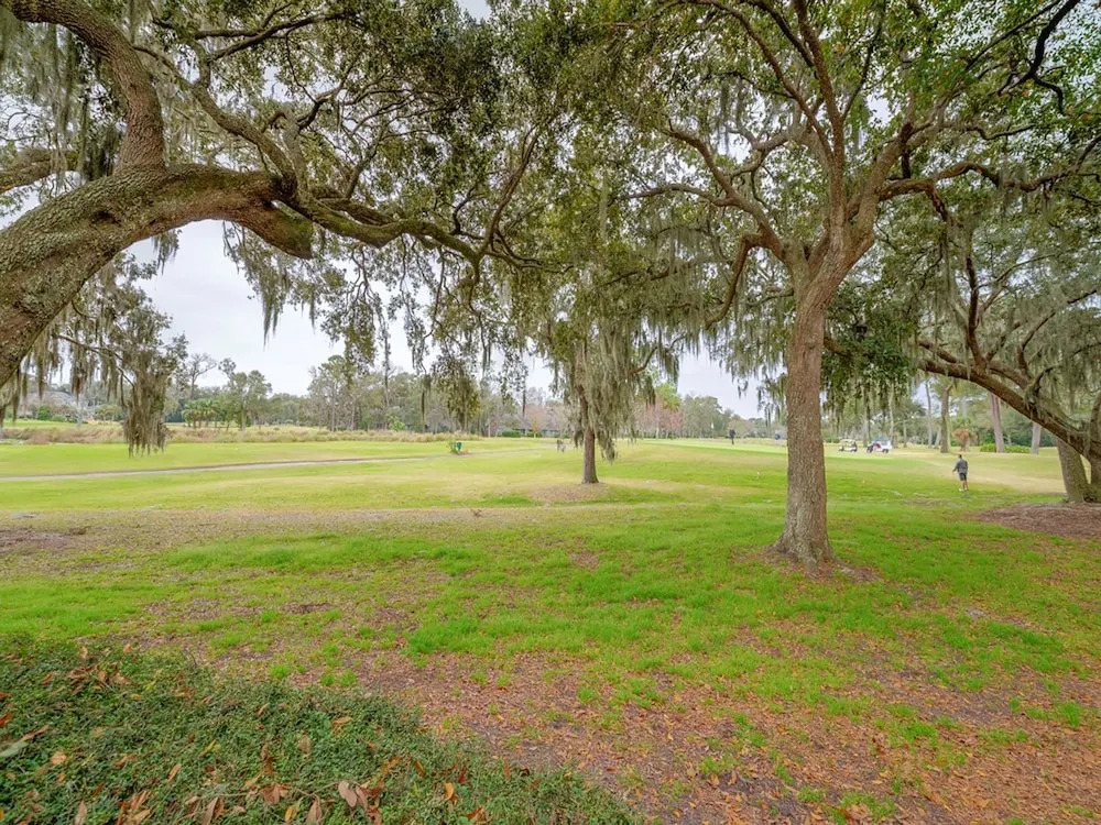 Saint Andrews Common 1954 by Vtrips