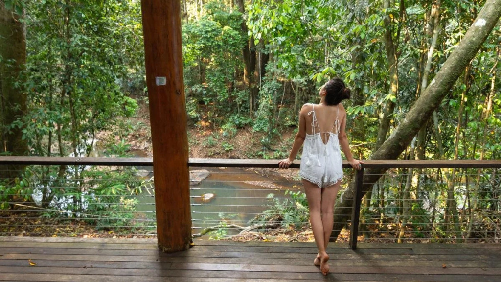 The Canopy Rainforest Treehouses & Wildlife Sanctuary