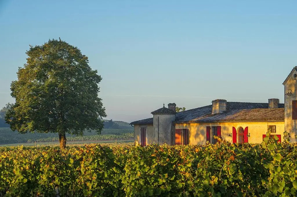 Château Sigalas Rabaud