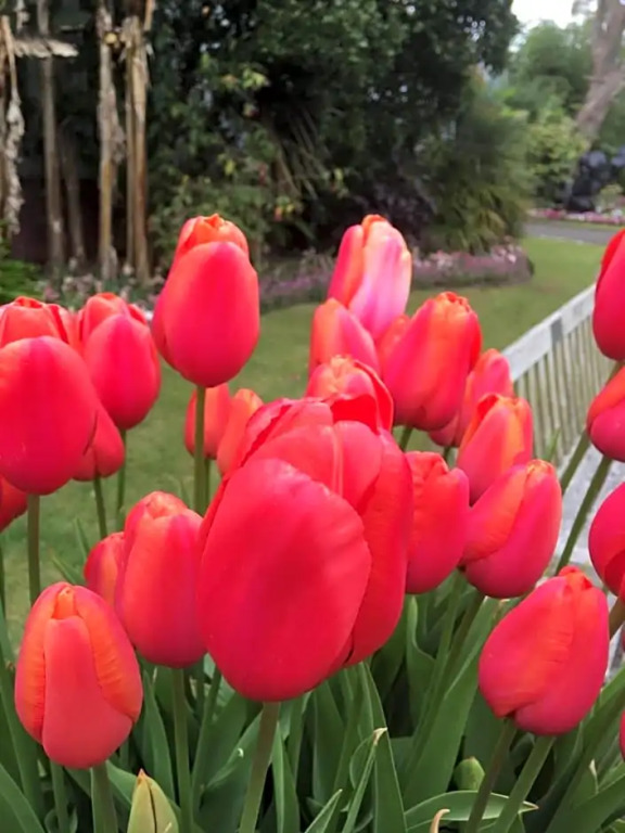 Wynberg House Swansea Bed  Breakfast