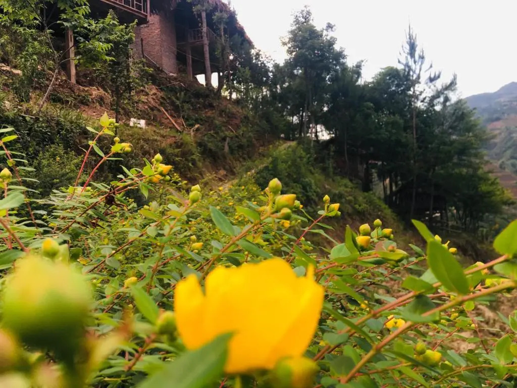 Hello Mu Cang Chai Homestay & Tours