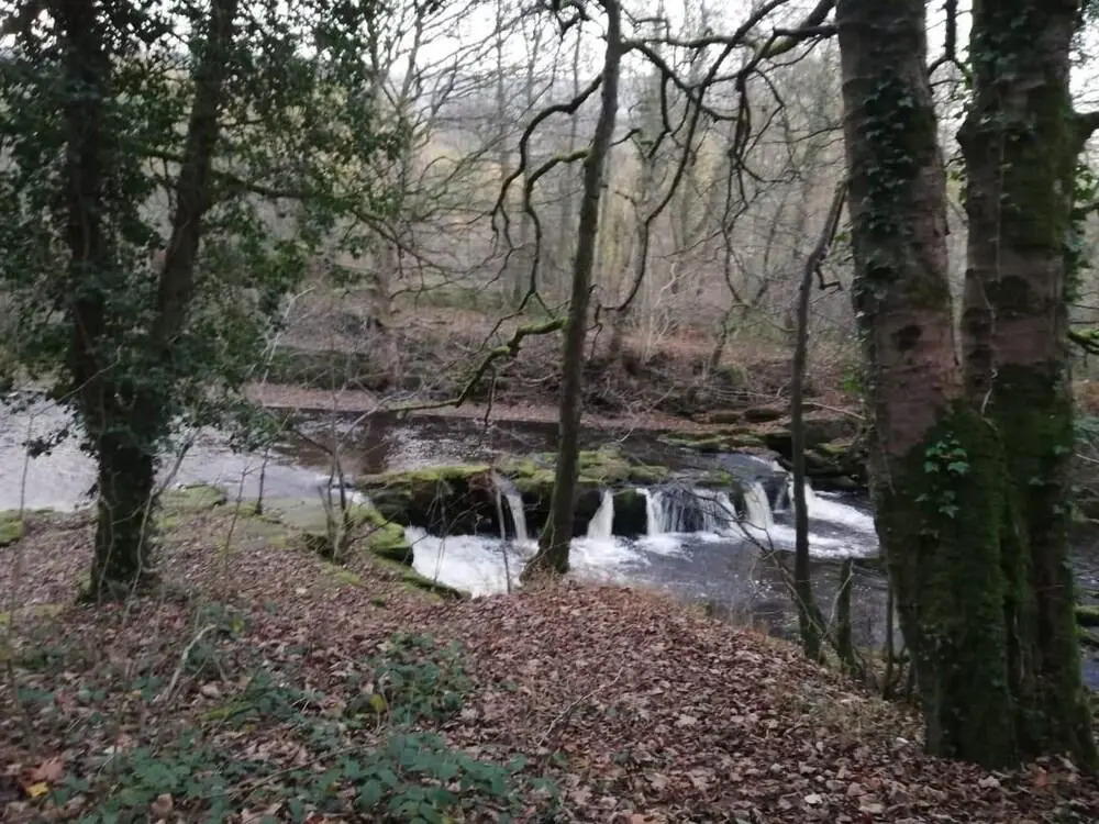 Woodvale Lodge