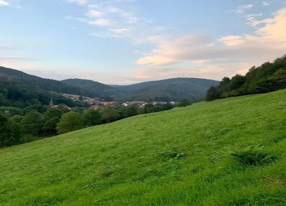 Harz-kurzurlaub in Lonau