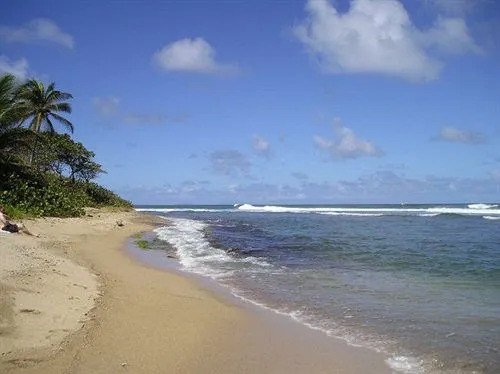Dominica's Sea View Apartment
