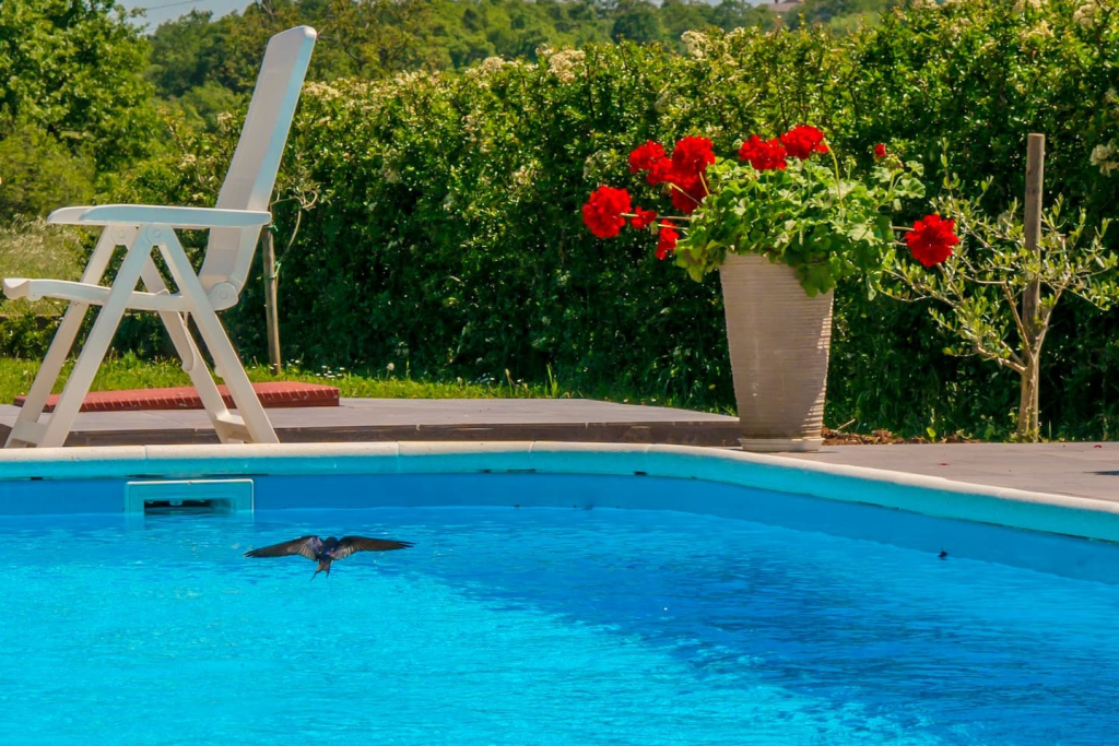 Apartment Barban Hreljici
