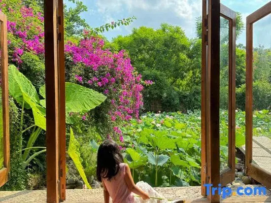 Meilan Meilu · Forest  Healing  Guesthouse