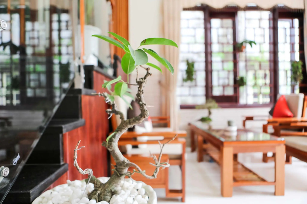 Viet Nhat Homestay