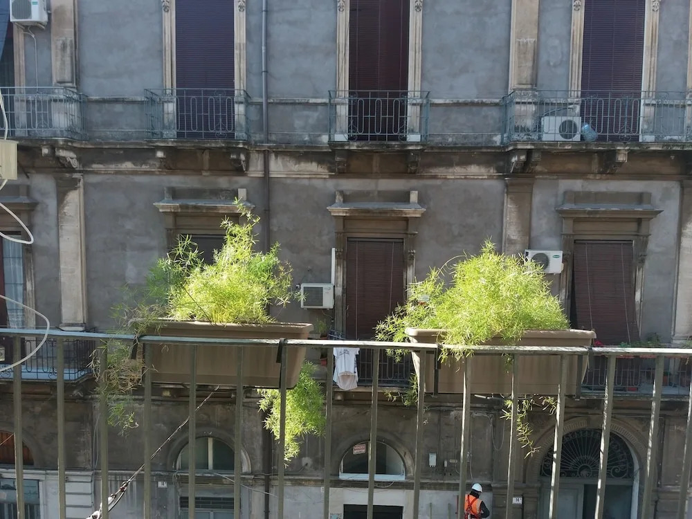 I Loft Di Elvira