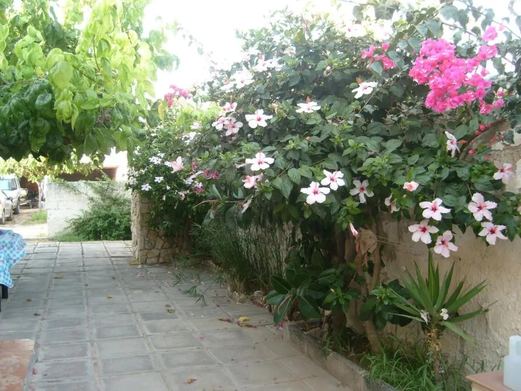 Mansarda Del Falco