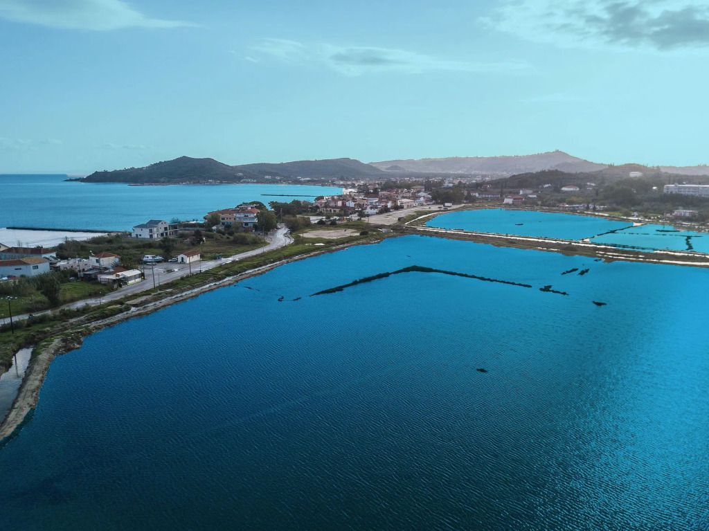 Aphrodite Studios & Suites - 140m from the beach, by ZanteWize