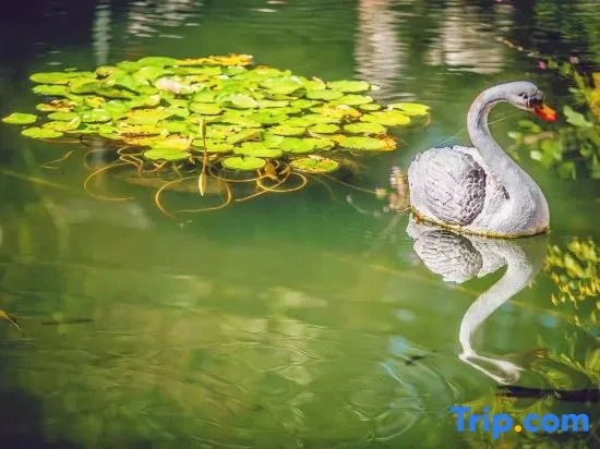 Suzhou Yeyuan Garden Homestay (Taihu Xishan Scenic Area)