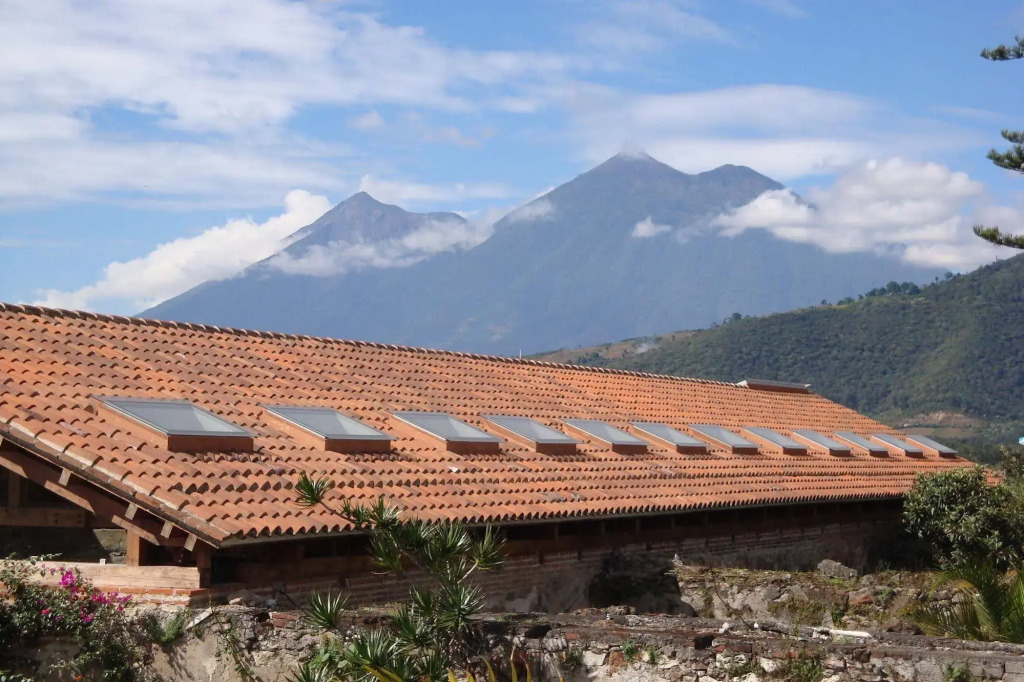 Hotel Las Camelias Inn by AHS