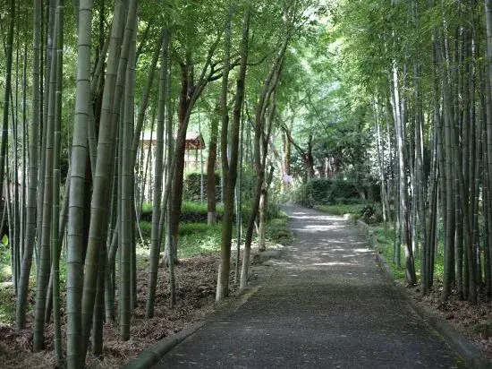 Sheyu Guesthouse