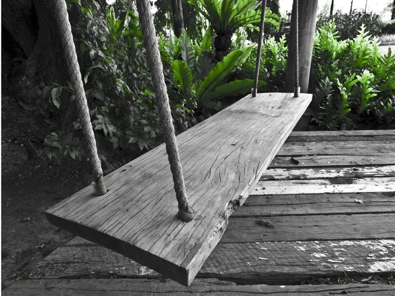 Tree House Hotel