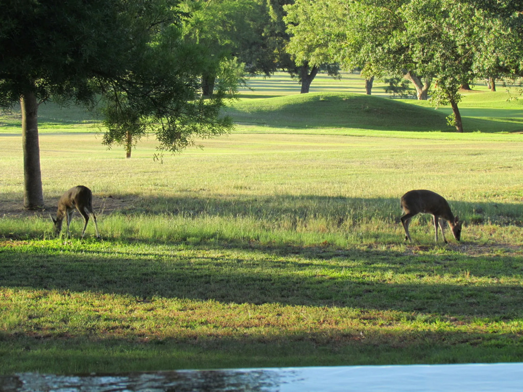 Matumi Golf Lodge