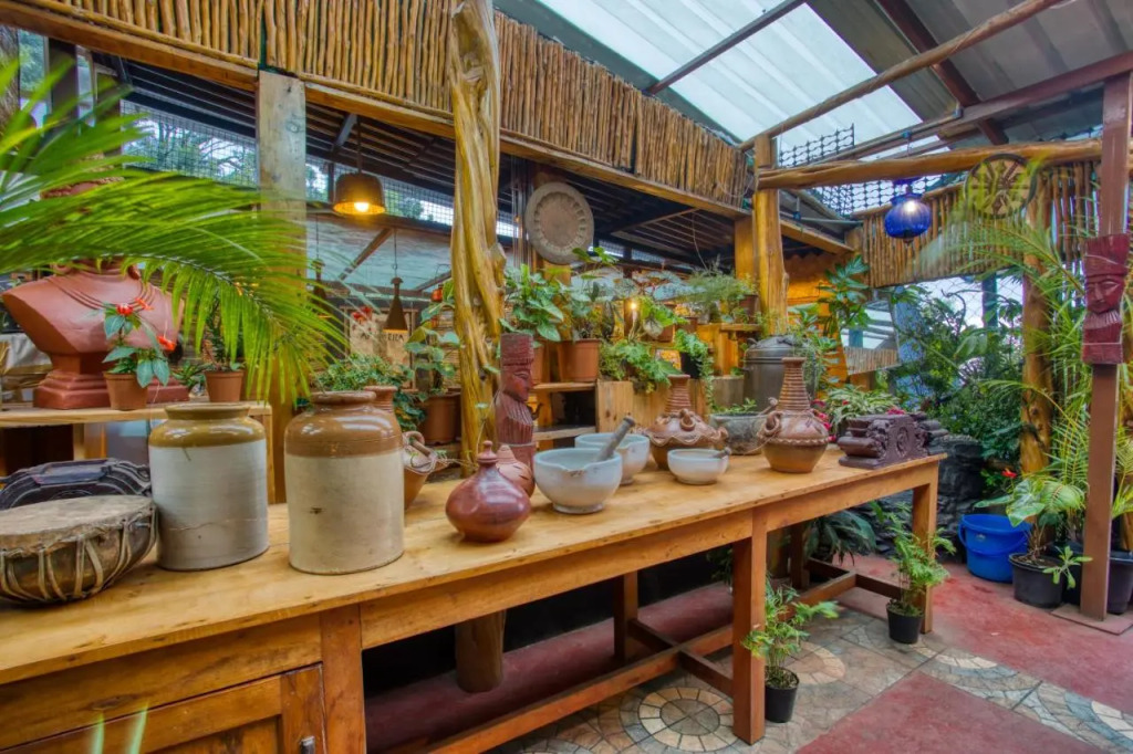 De Rock Jungle Living Resort