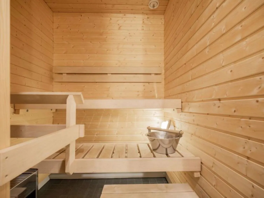 Nordic chalet 9411