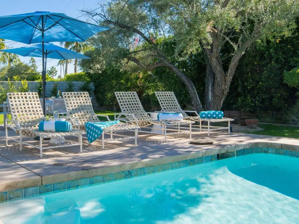 Canary Palms by ACME House Company