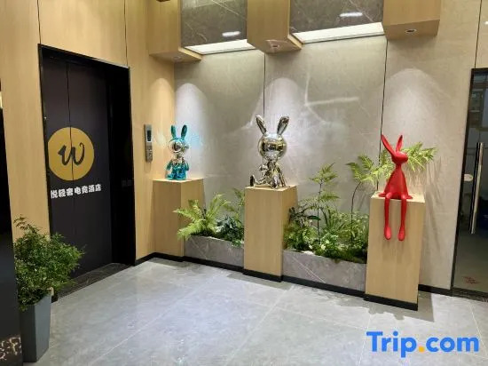 Wuyue Light Luxury E-sports Hotel (Chongqing Guanyinqiao Huangnibeng Metro Station Branch)