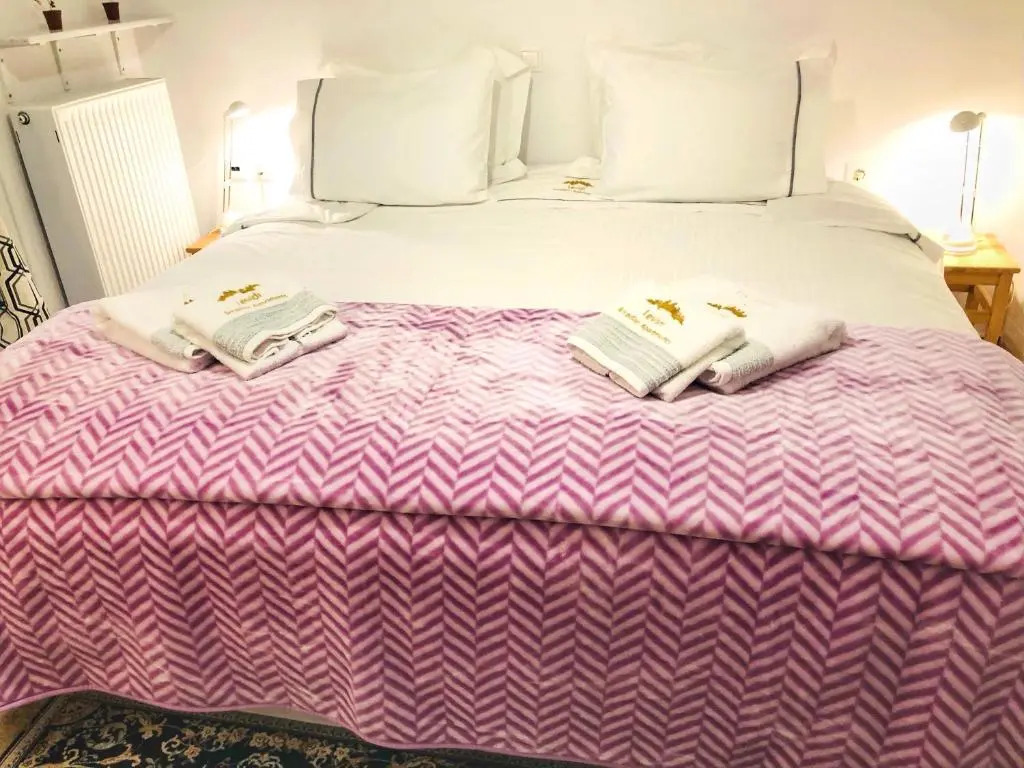 "Orchomenos" Apartment of Levidi Arcadian Apartments