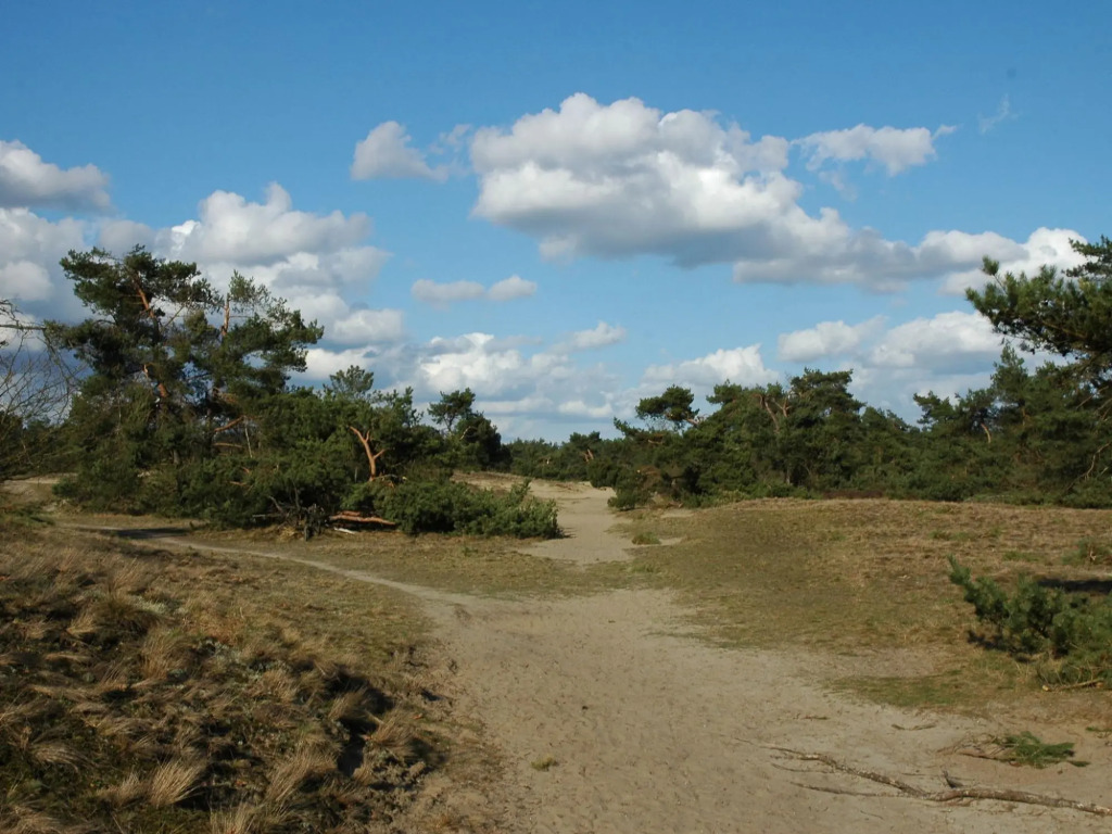 Terraced Home in Voorthuizen Near Veluwe