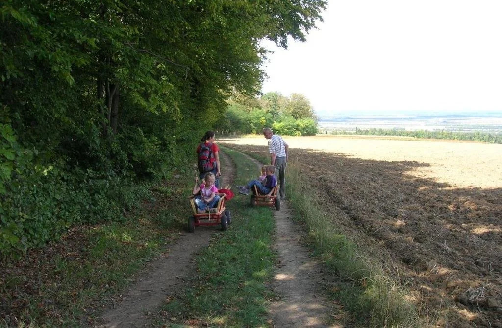 Weinbauernhof Vier Jahreszeiten