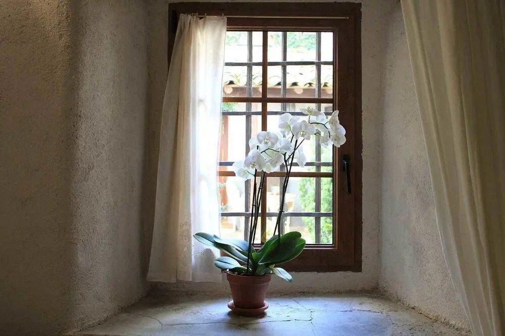 Posada Restaurante Casa de la Sal