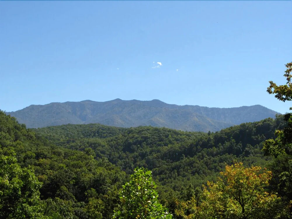 Triple Mountain View - Three Bedroom Cabin