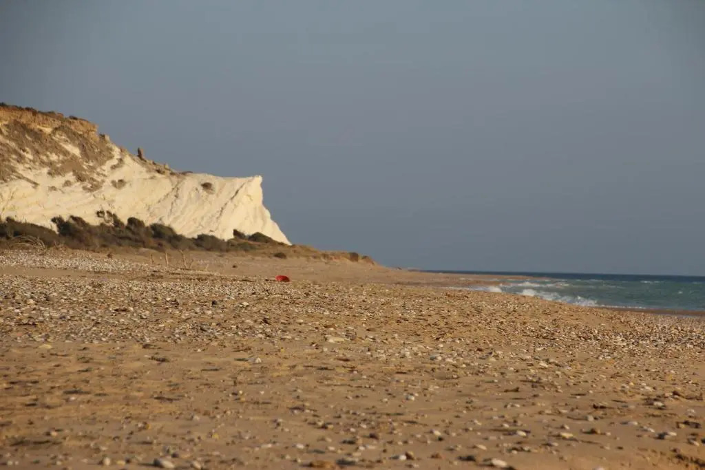Le Zarafe
