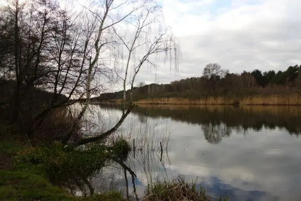 Cozy Holiday Home in Brandenburg near Lake