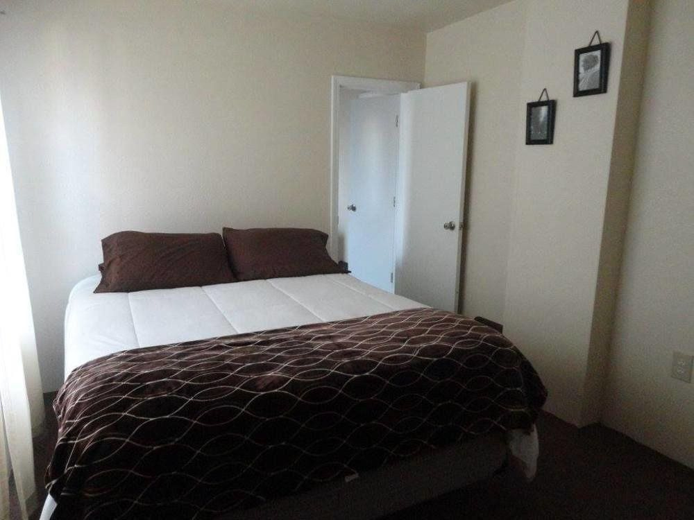 Lamplighter Cabins & Suites