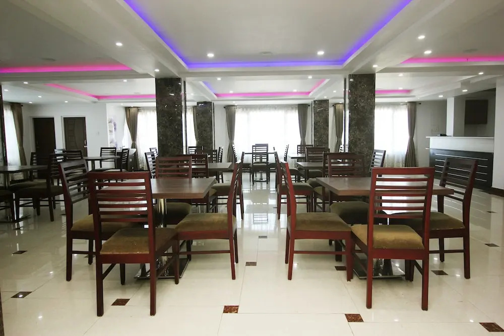 OYO 8241 Hotel Green Park