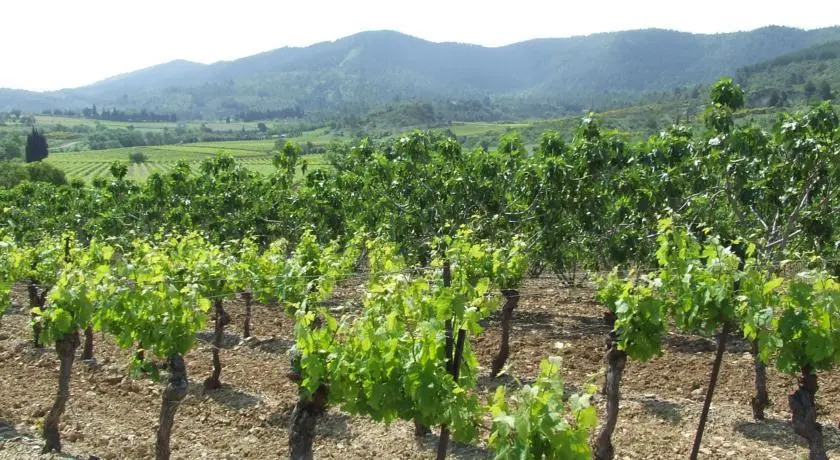 La maison des vendanges