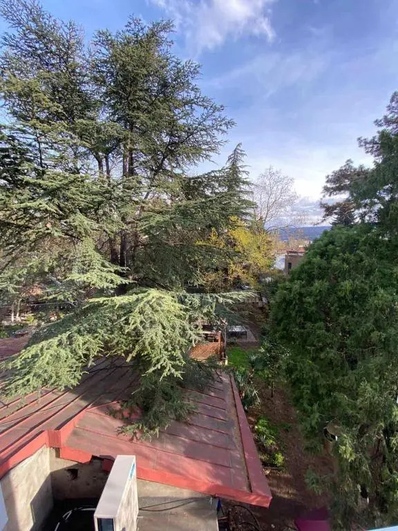 Sky Guest House