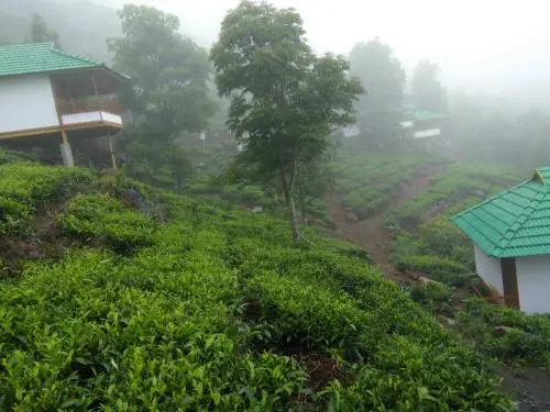 Vythirihills Nature Resort