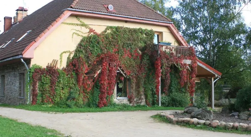 Plostkrogs