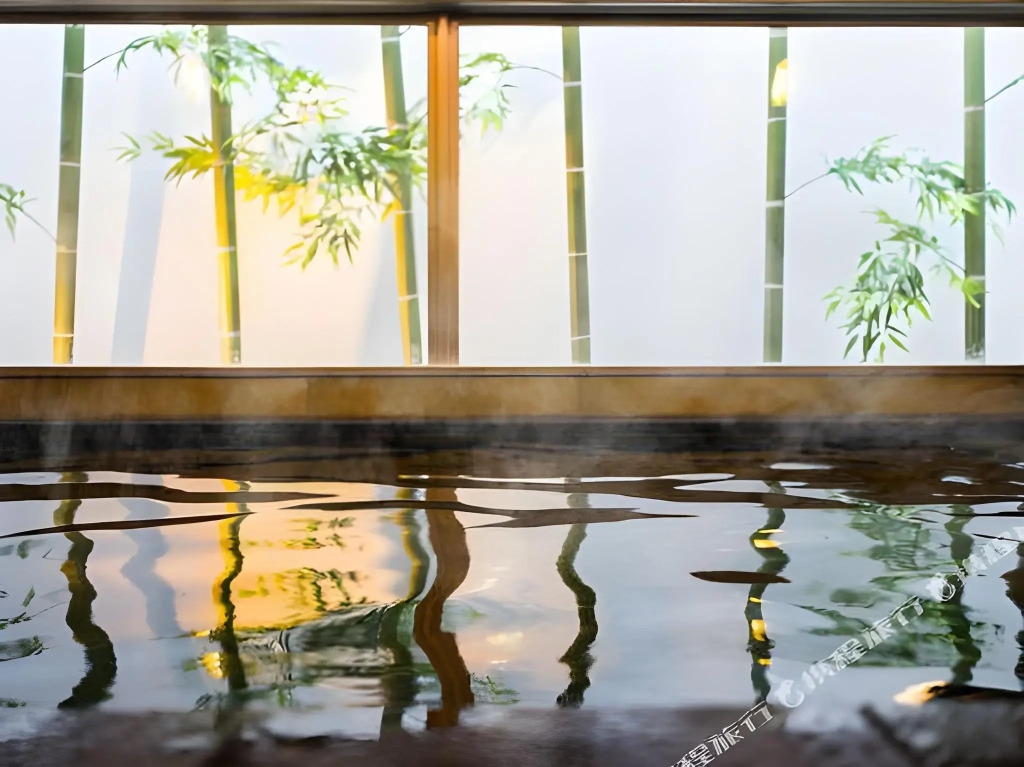 Super Hotel Gotsu-Ekimae