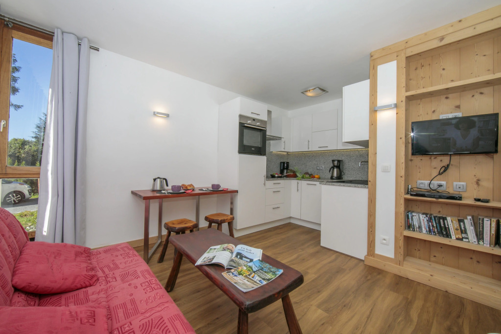 Residence de Lognan- Les Drus 12