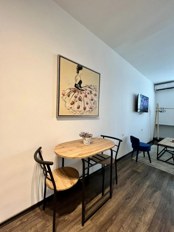 Lovely 1 bedroom apartment in the heart of Skopje!