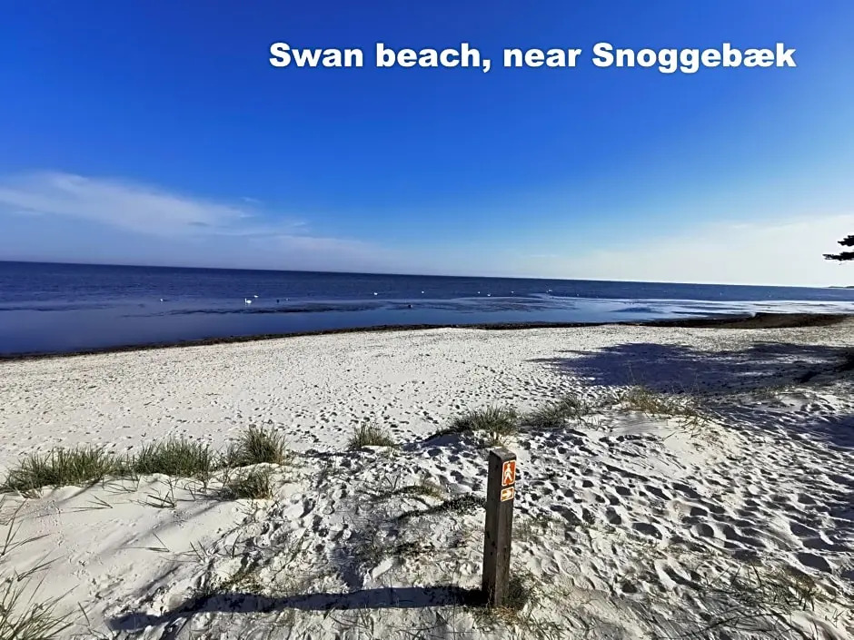 The FIG Studio - Boutique Guest House - near Rønne & Beach