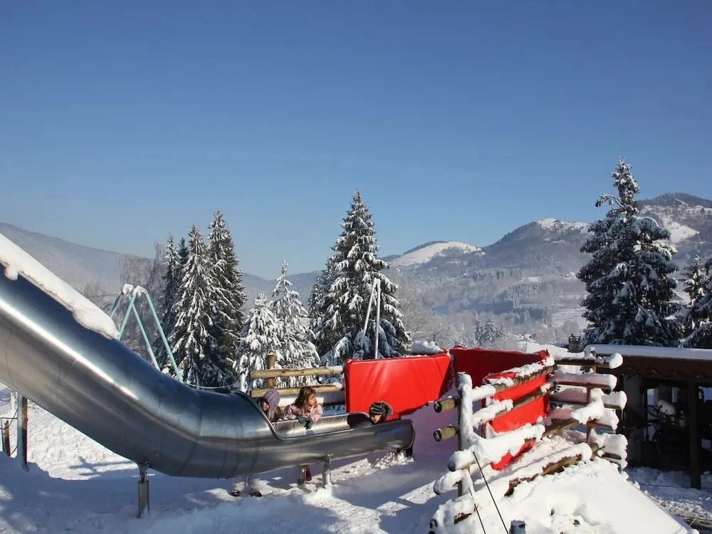 Nice Chalet With Dishwasher, in the High Vosges