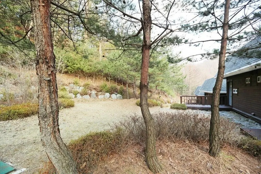 Sane Deule Pension